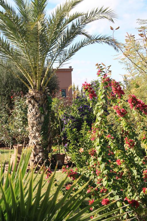 Terra Mia Marrakech Panzió Ouled Jelal Kültér fotó